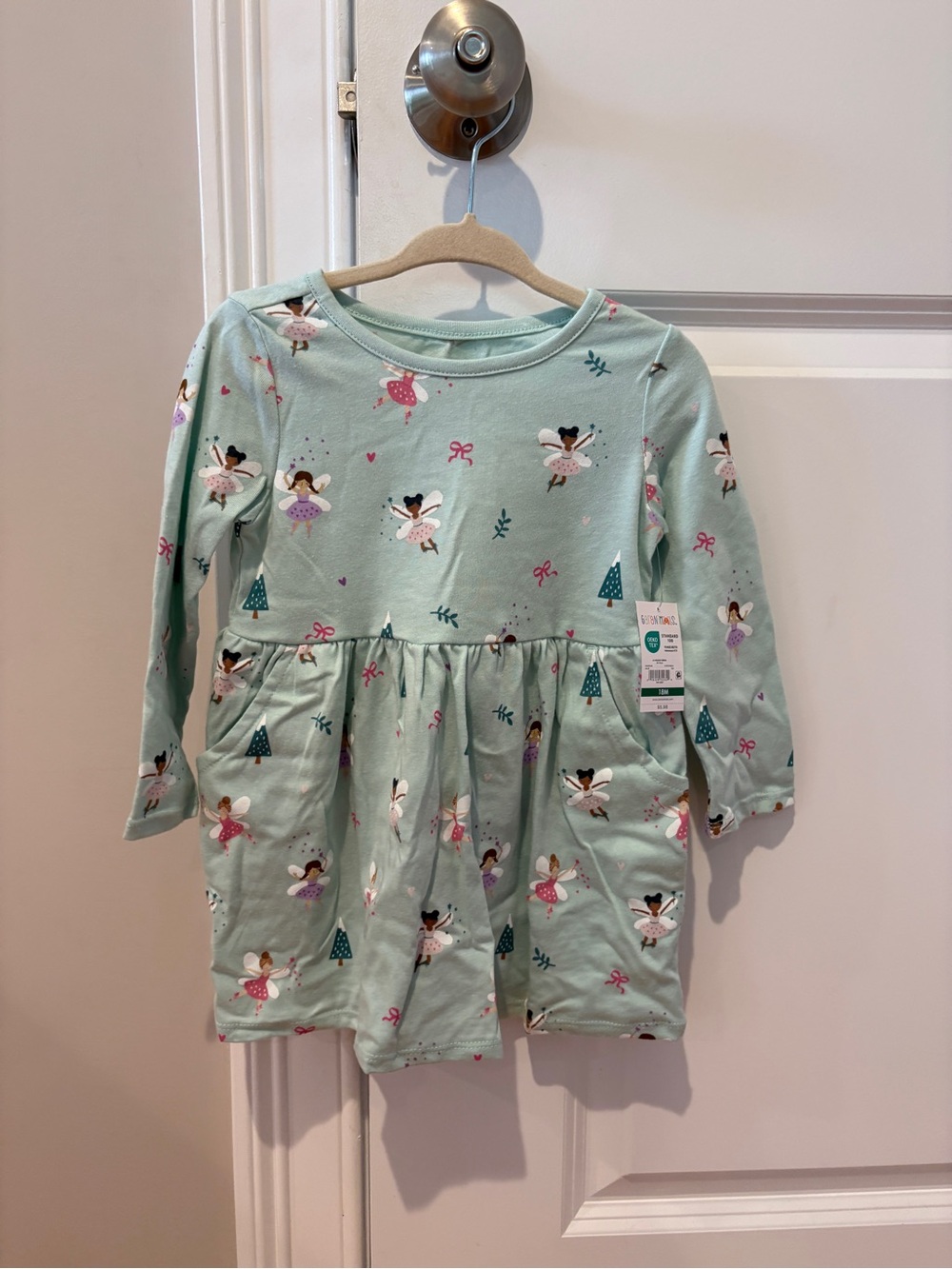 Garanimals Mint Fairy Print Long Sleeve Dress with Pink Accents